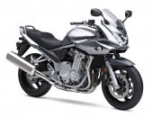 2008 Suzuki Bandit 1250 photo